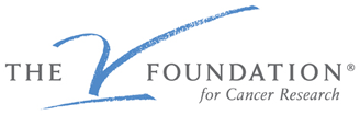 VFoundation